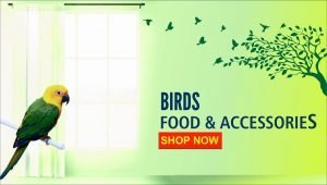 Bird Supplies banner