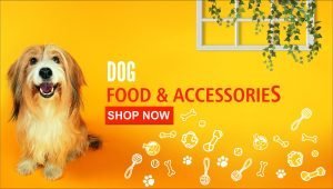 Dog food and accessories