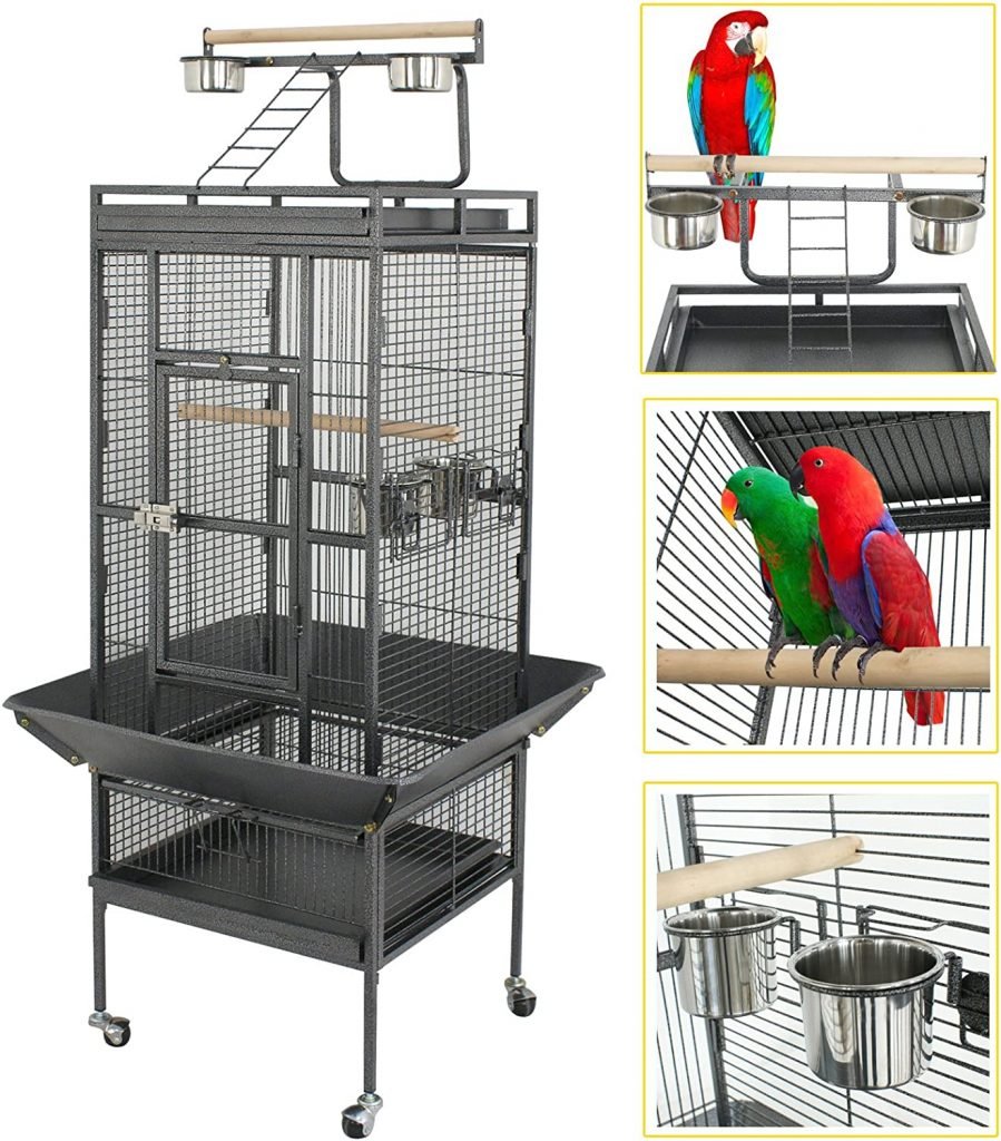 Pet birds cages and prices